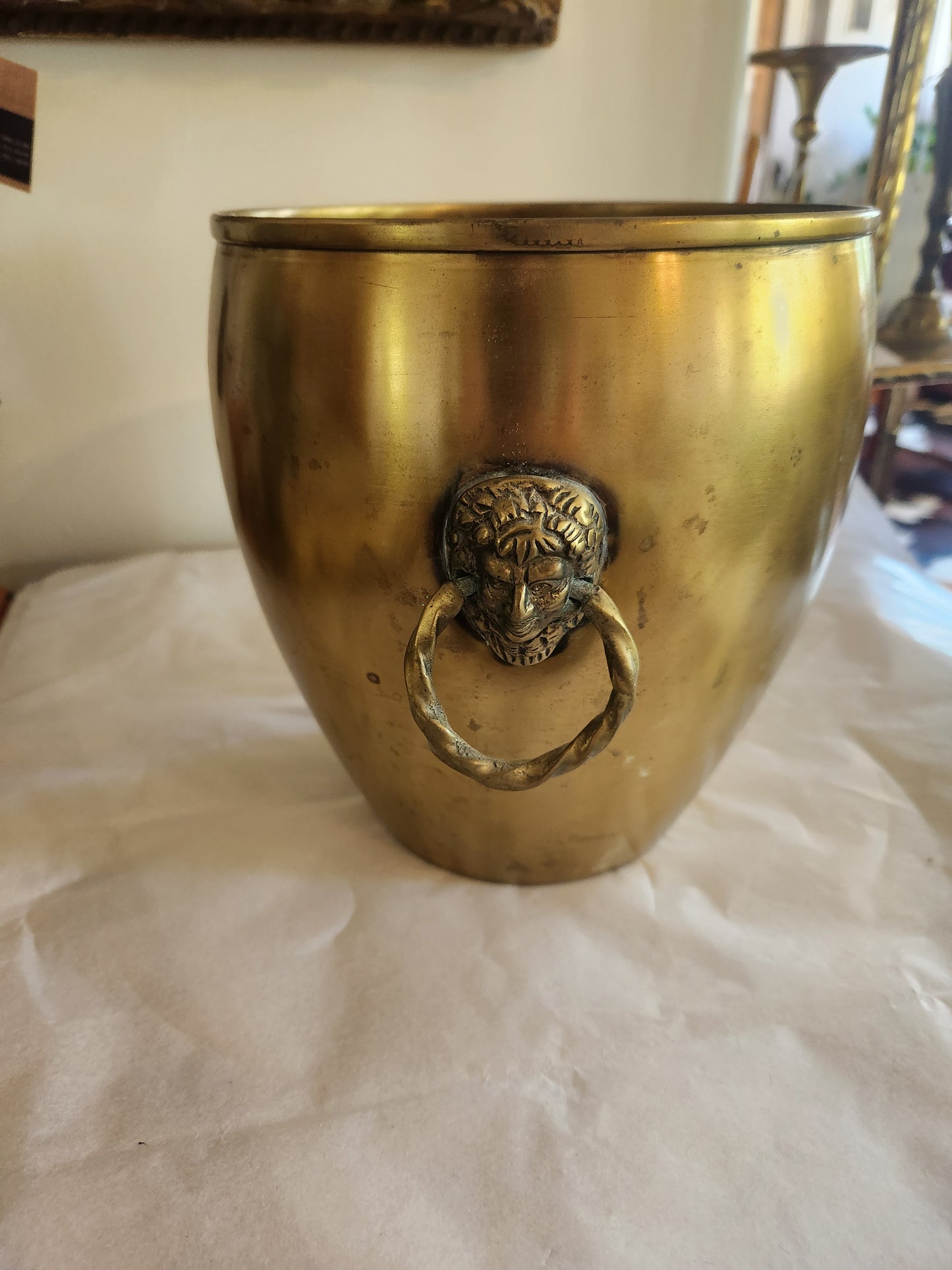 Brass Plant Pot with Loop Handles