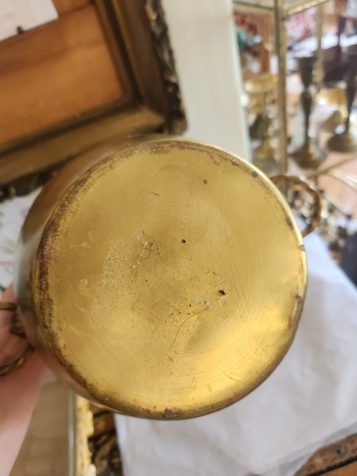 Brass Plant Pot with Loop Handles