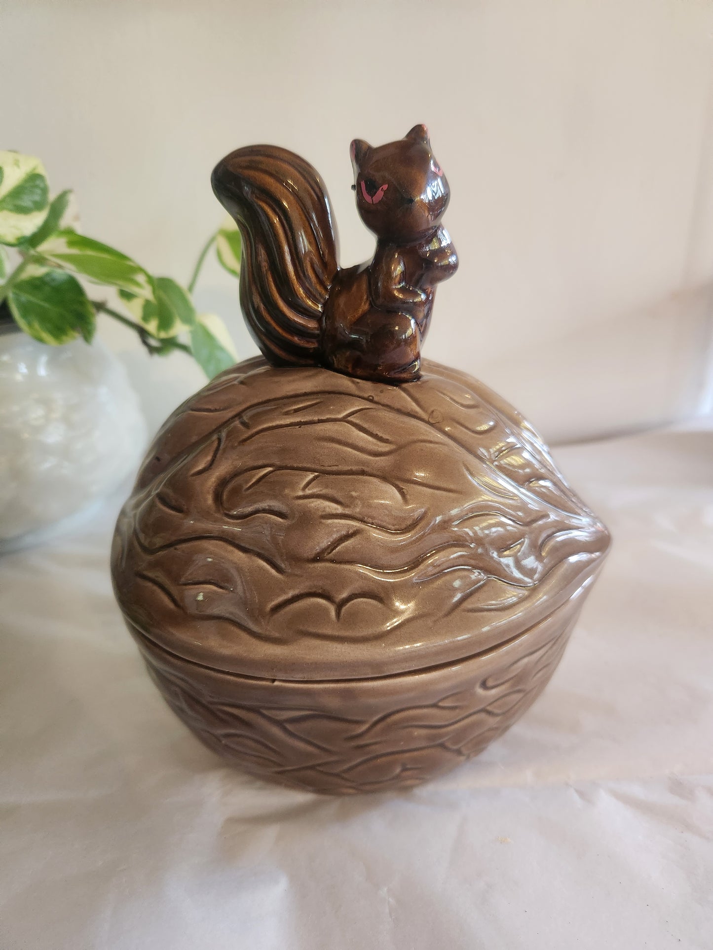 Angry Squirrel Walnut Dish