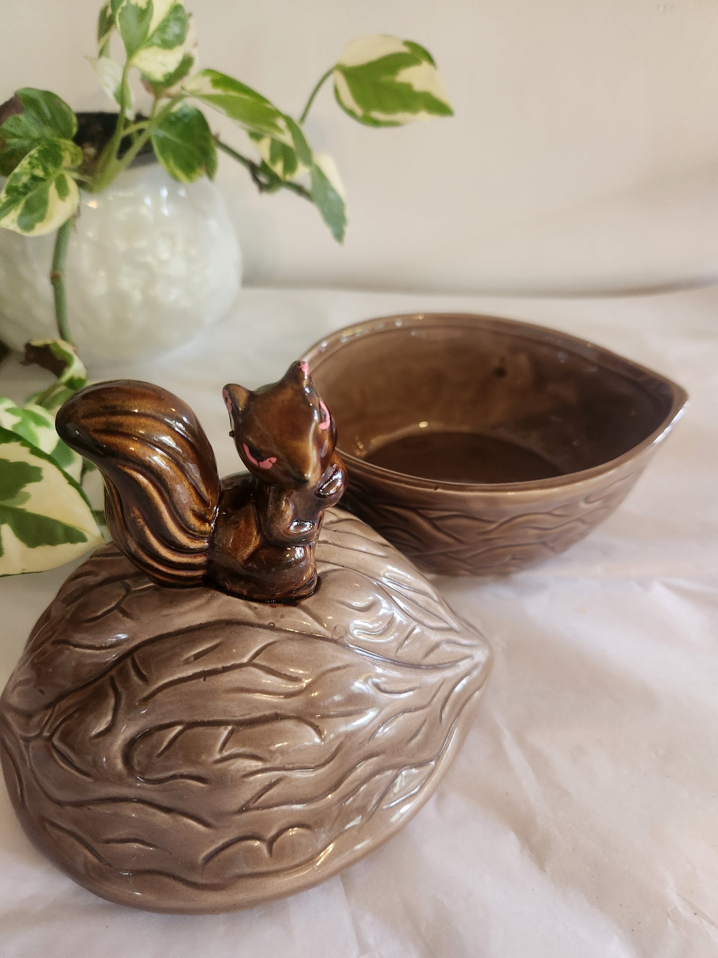 Angry Squirrel Walnut Dish