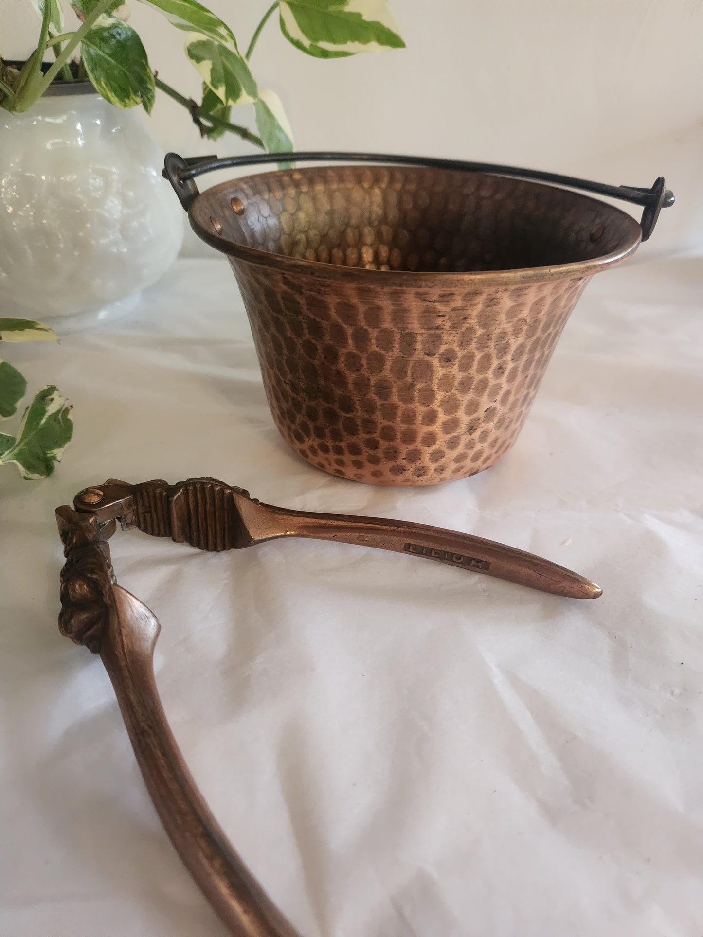 Copper Lion head Nutcracker with Bucket