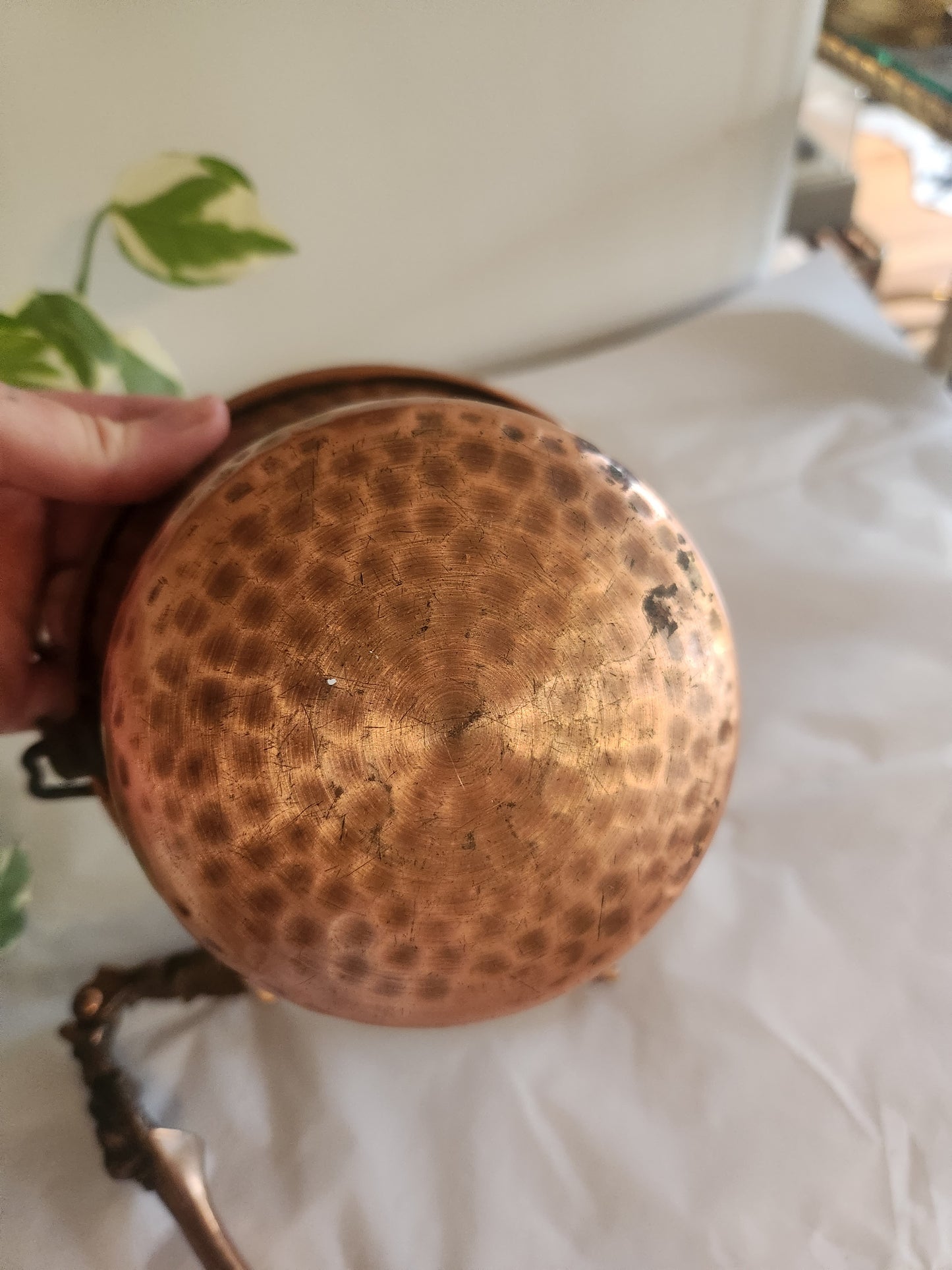 Copper Lion head Nutcracker with Bucket