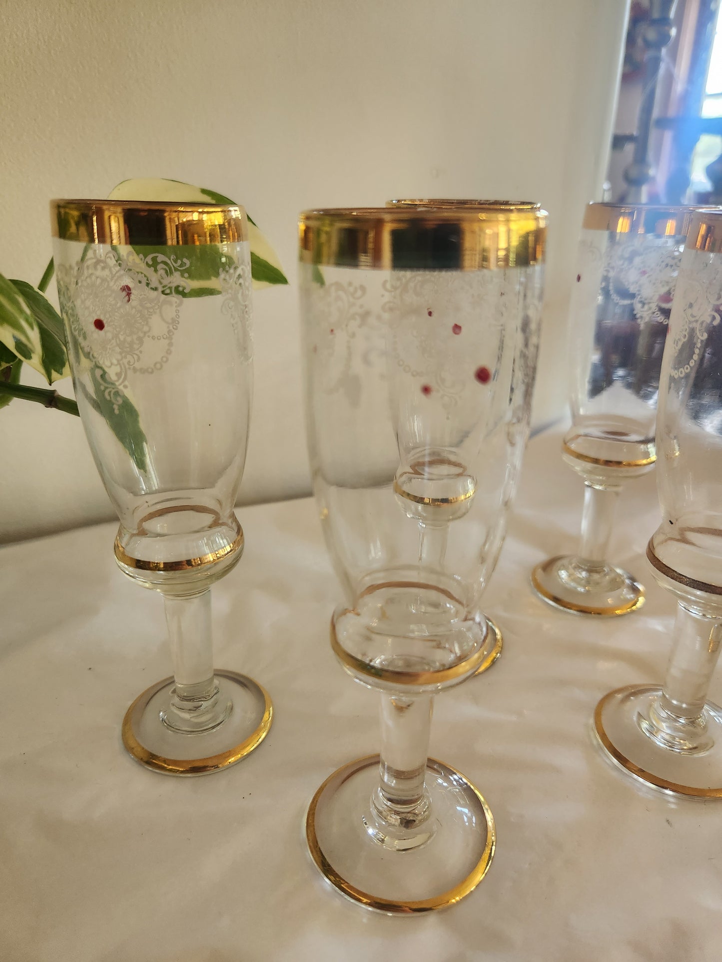 Gold Rim Painted Wine Glasses (5)