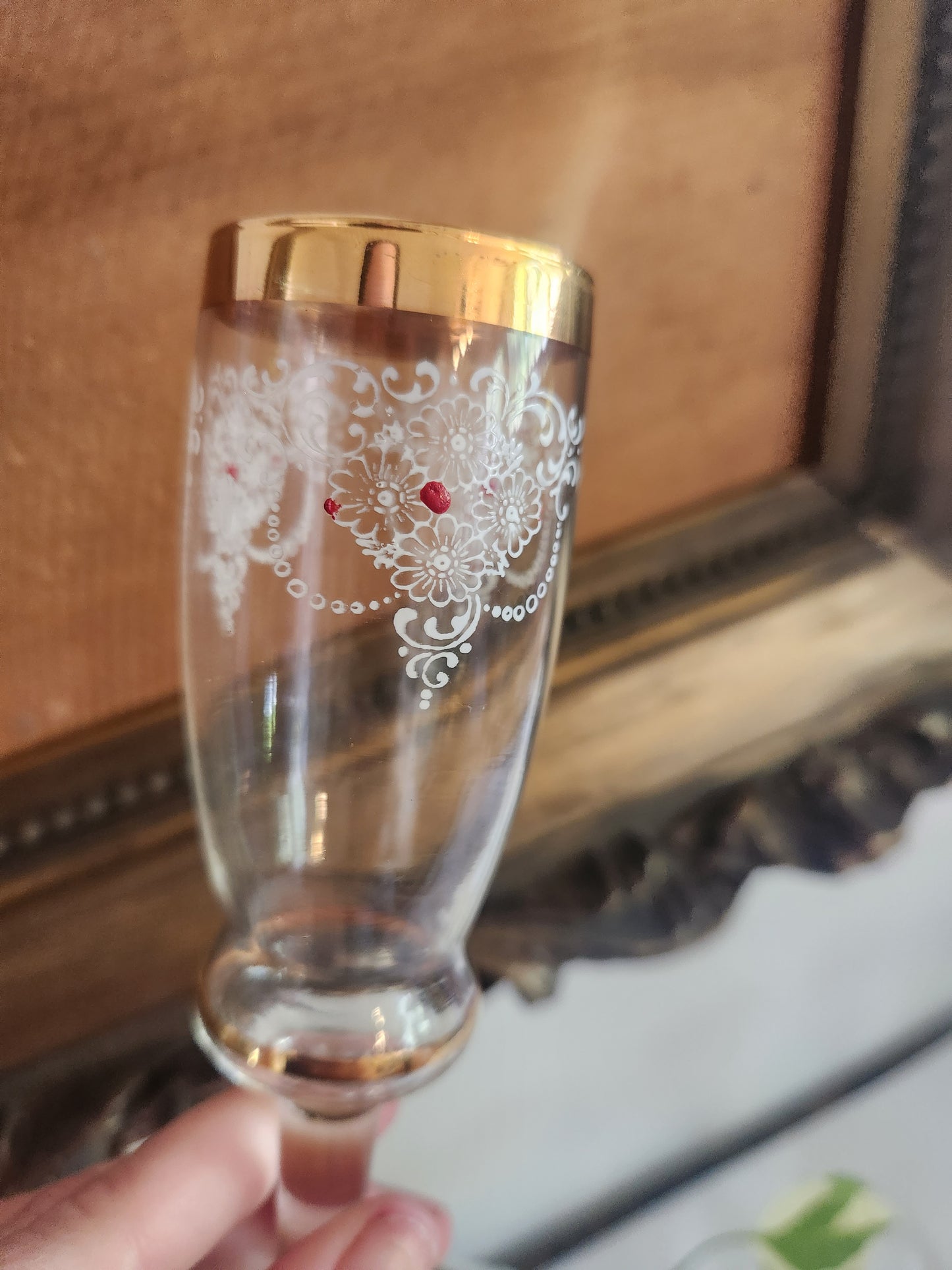 Gold Rim Painted Wine Glasses (5)
