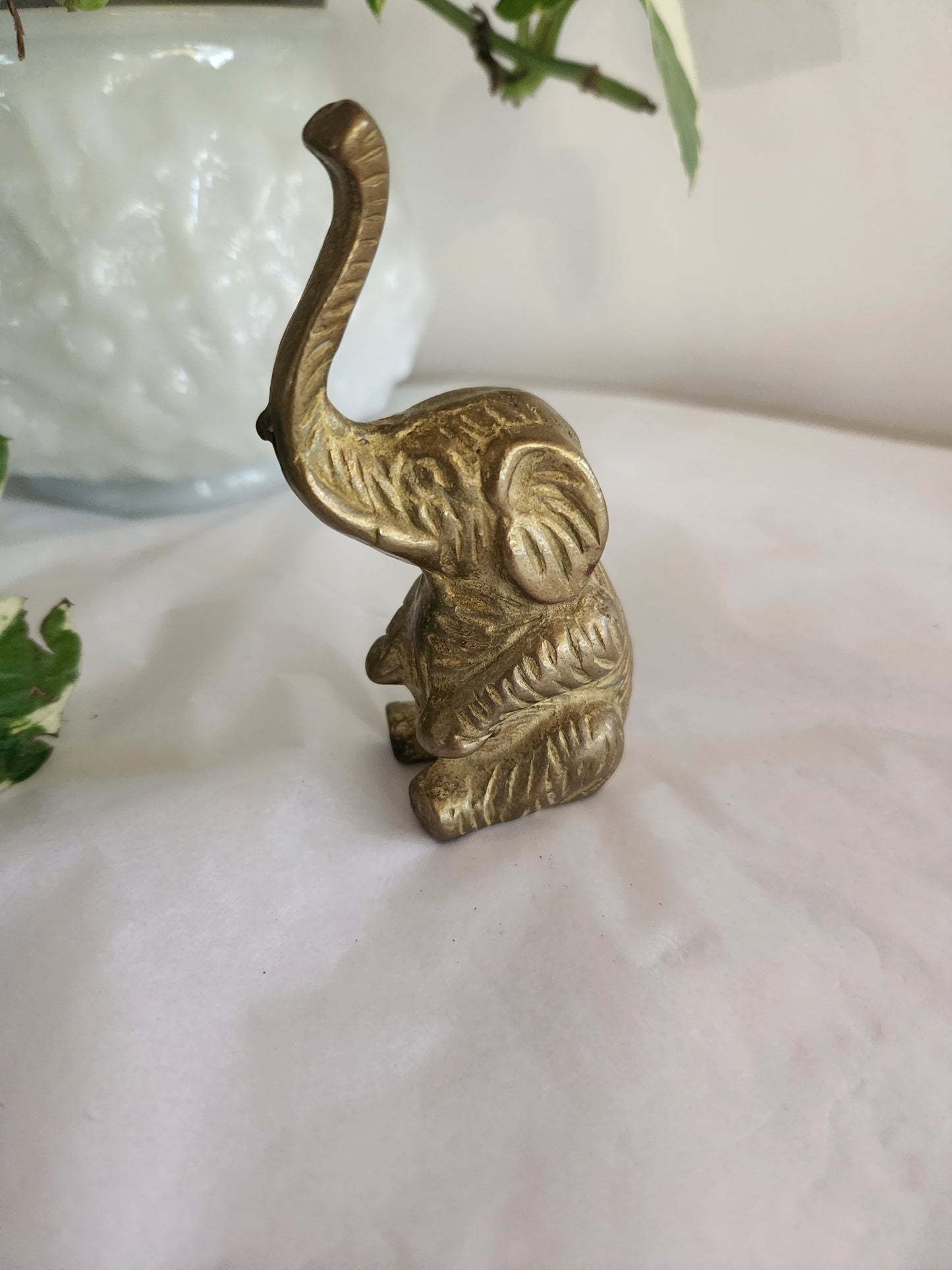 Baby Sitting Elephant