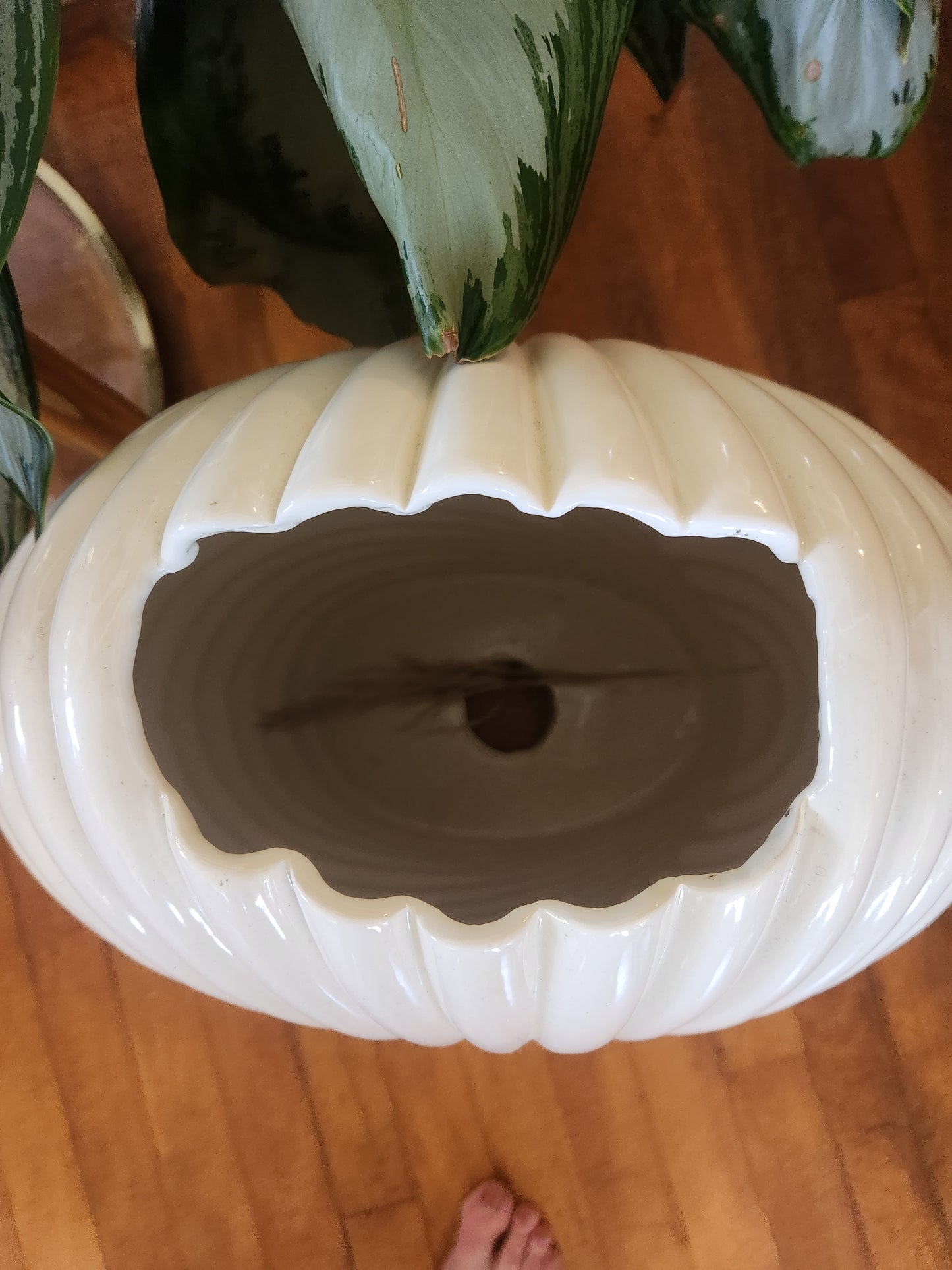 Large Fan Vase