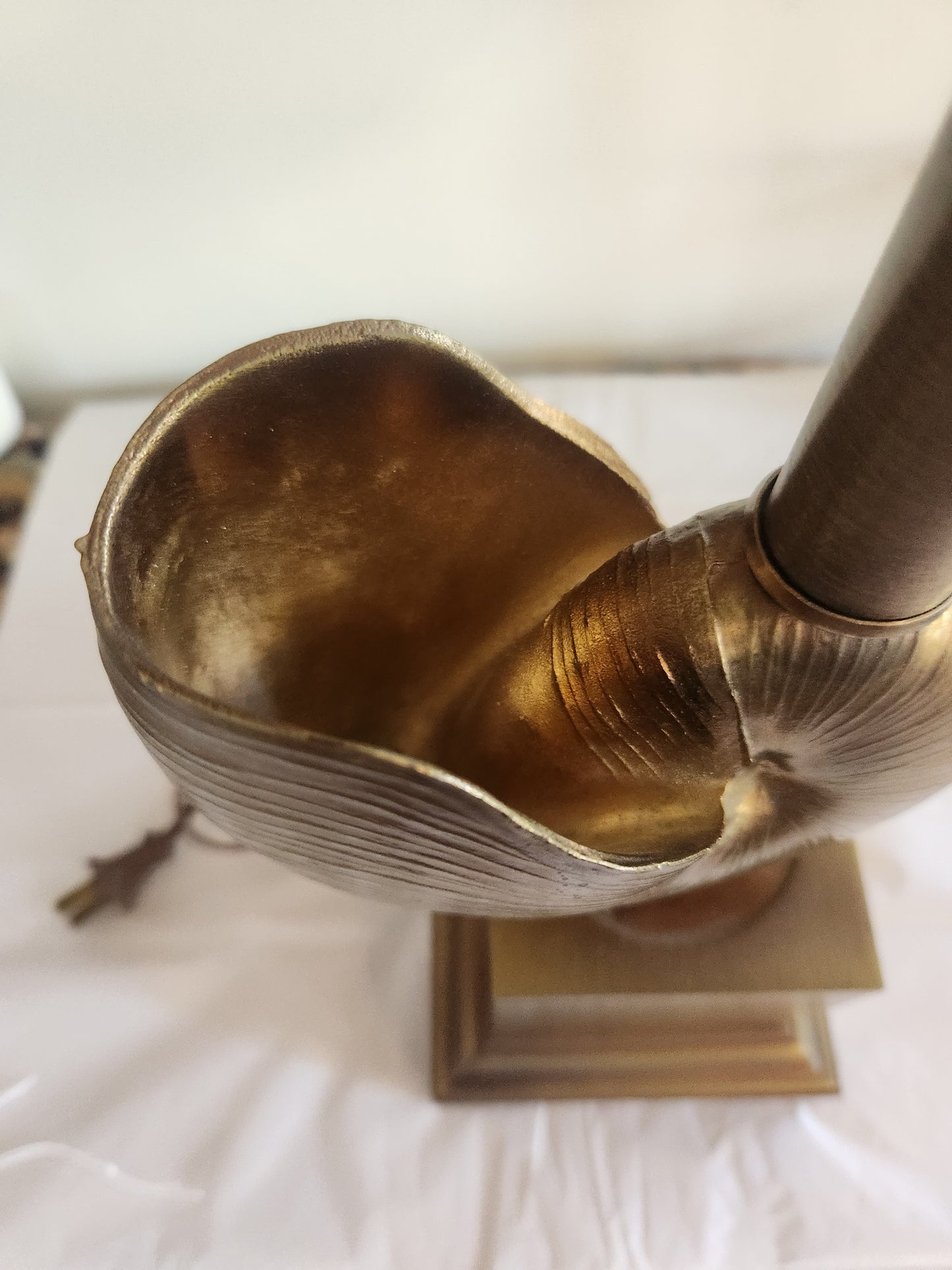 Brass Shell Lamp