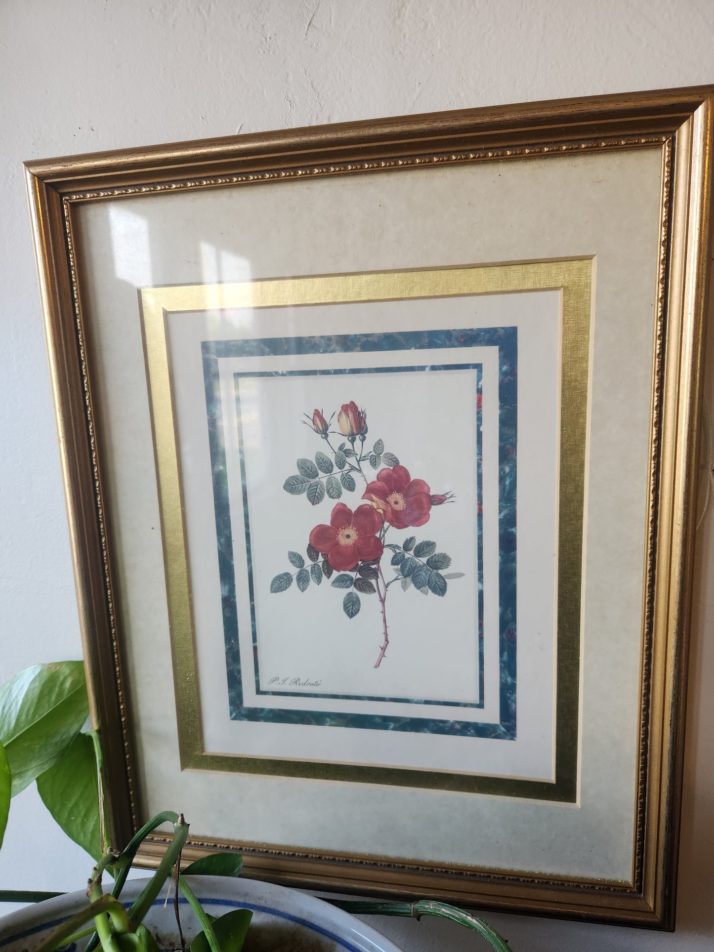 Wild Rose Vintage Print