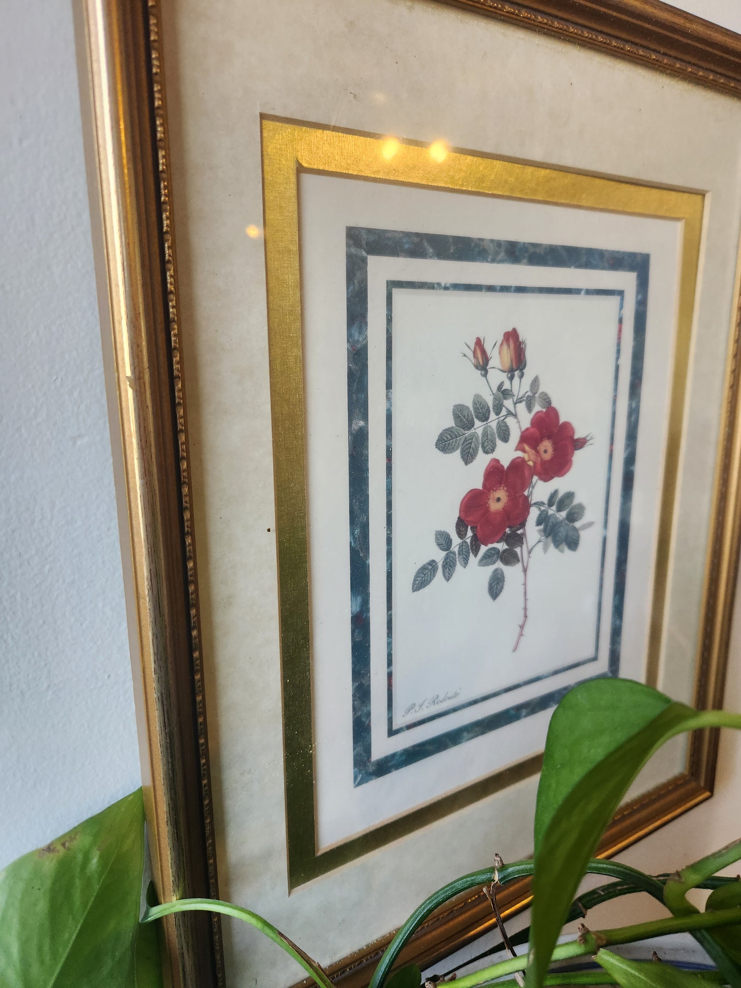 Wild Rose Vintage Print