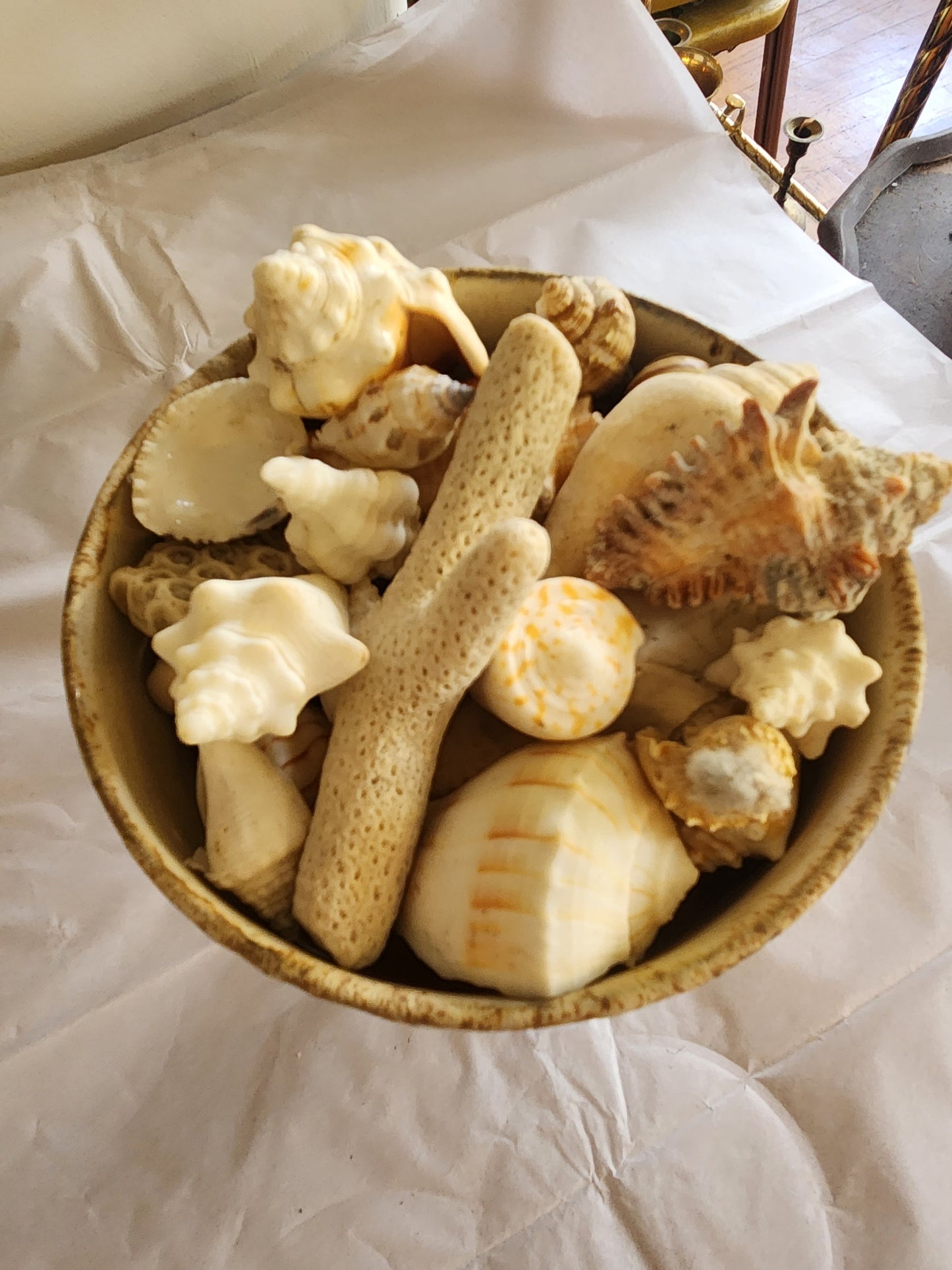 Pottery Pedestal Dish with Seashells