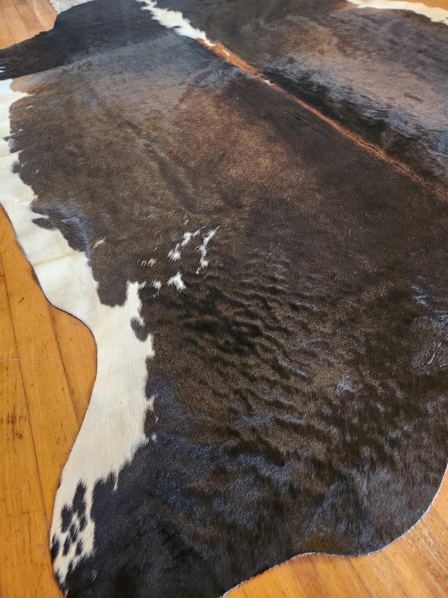 Dark Tricolor Cowhide Rug