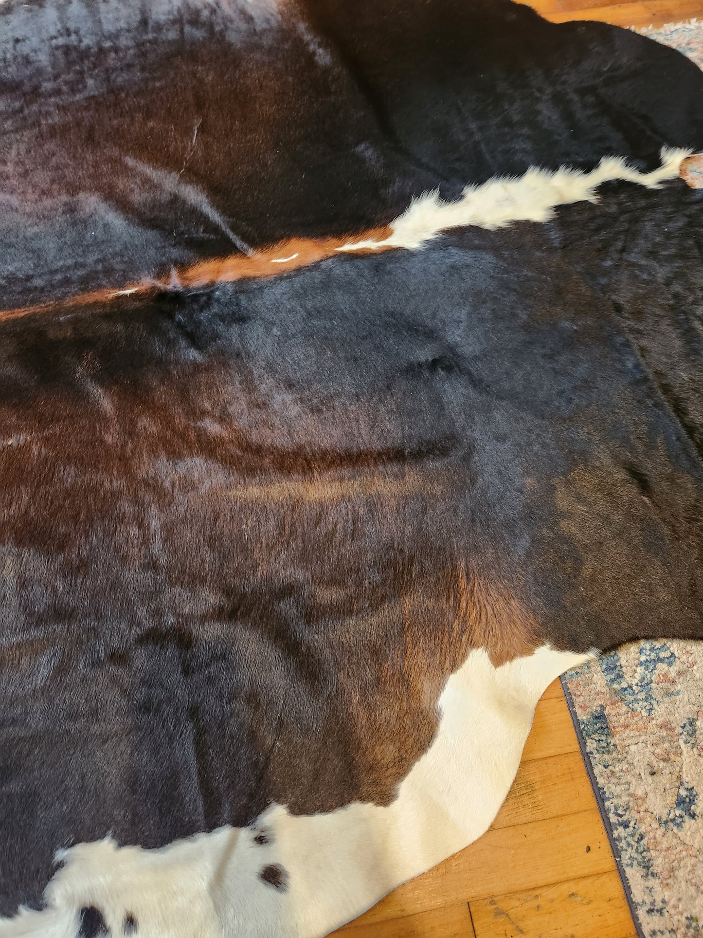 Dark Tricolor Cowhide Rug