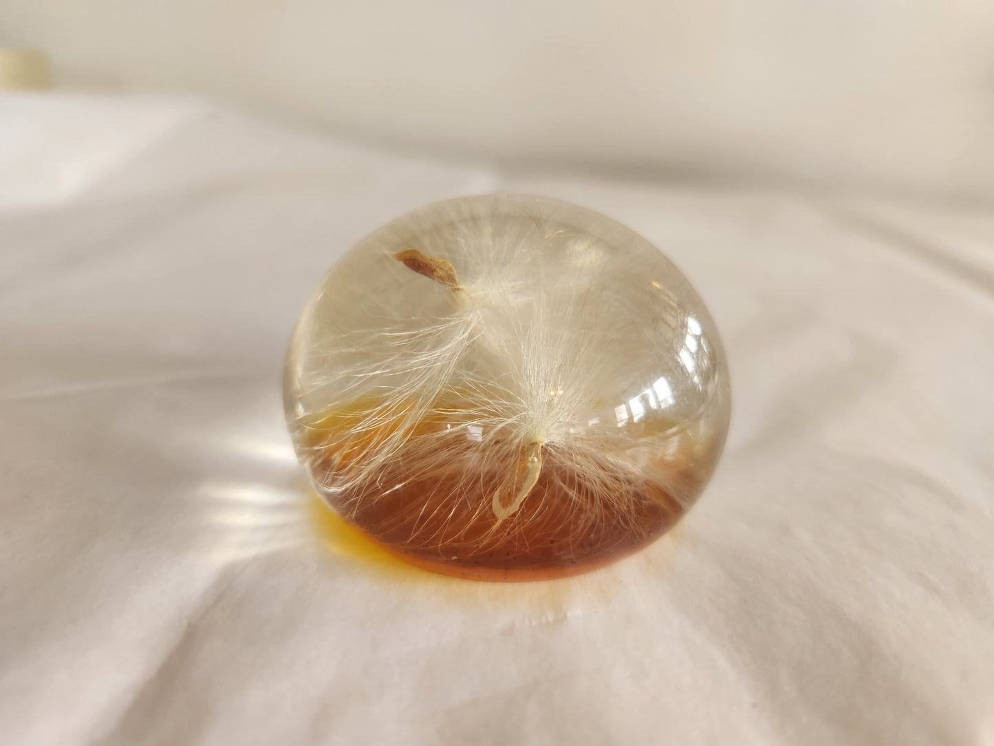 Dandelion fluff Decorative Paperweight