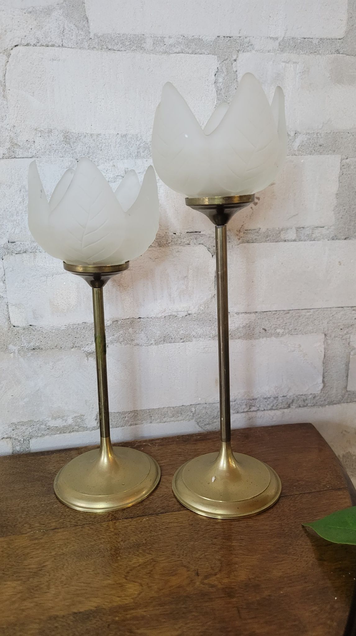 Set of 2 Clear Frosted Tulip Brass Candle Sticks – Vintage Spaces Market