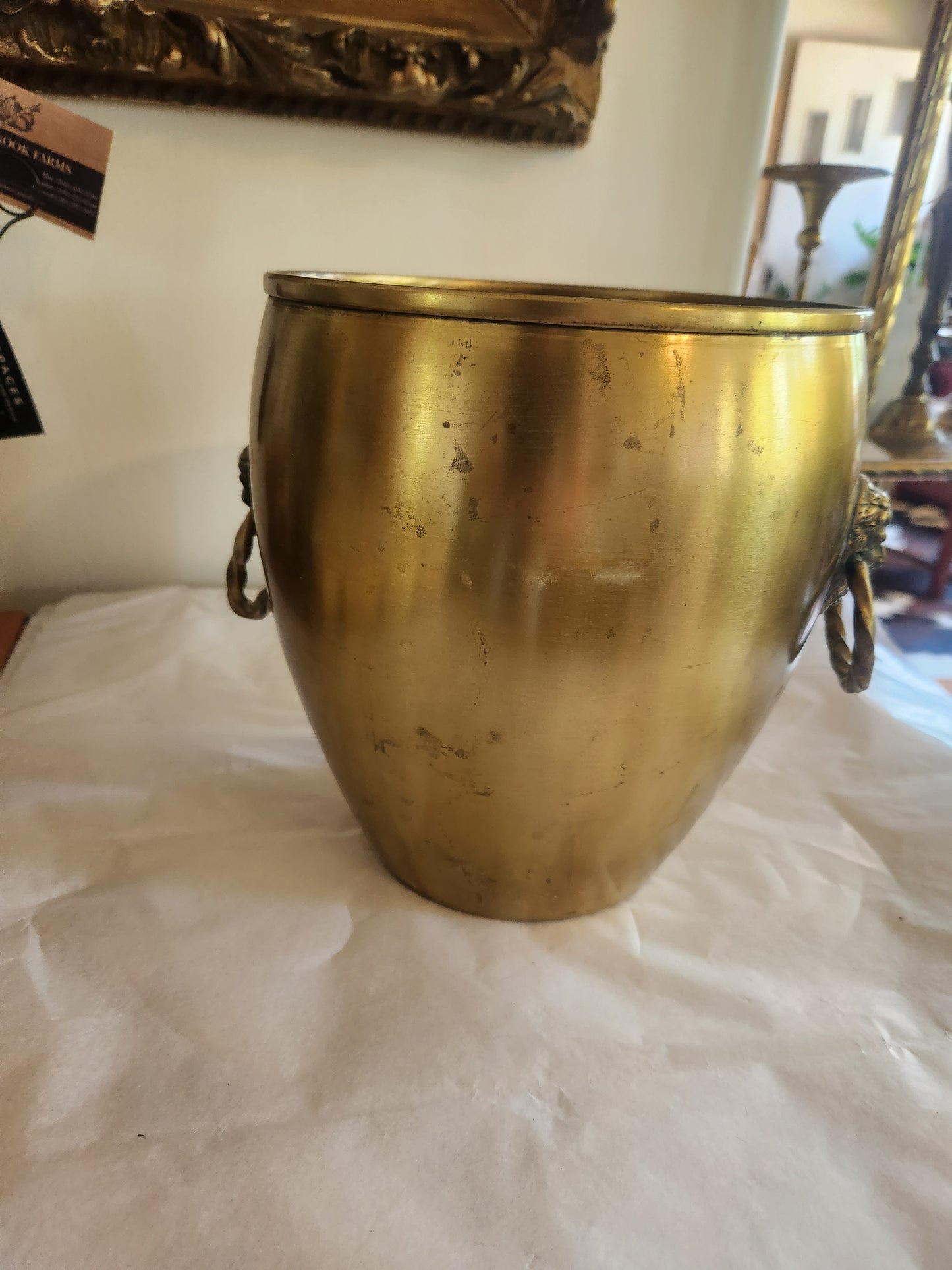 Brass Plant Pot with Loop Handles