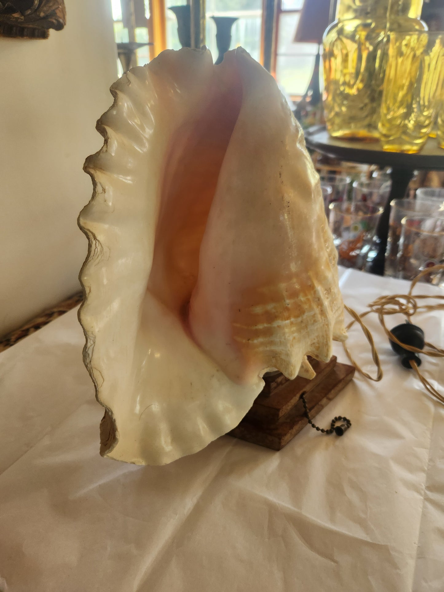 Vintage Conch Shell Lamp