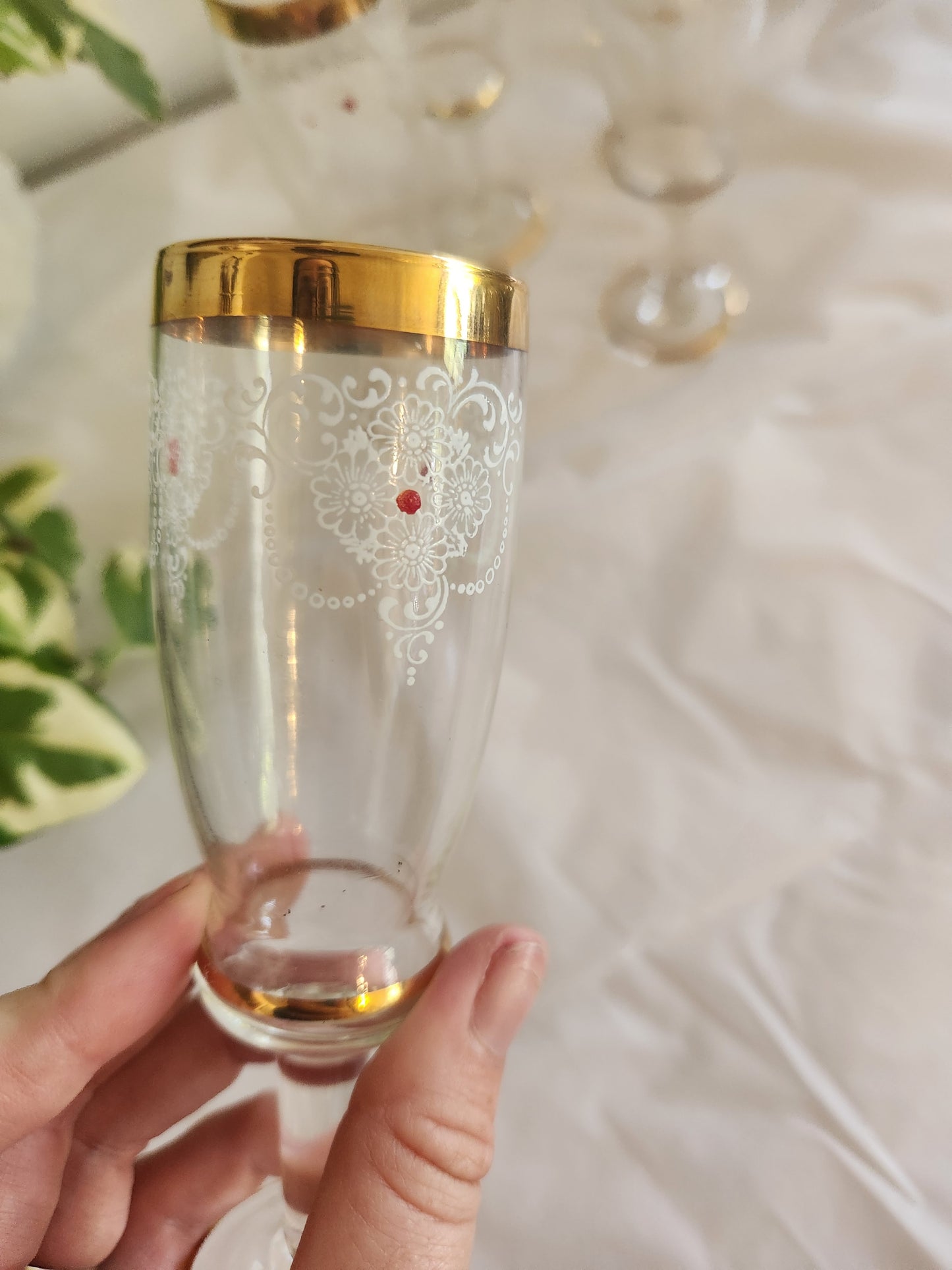 Gold Rim Painted Wine Glasses (5)
