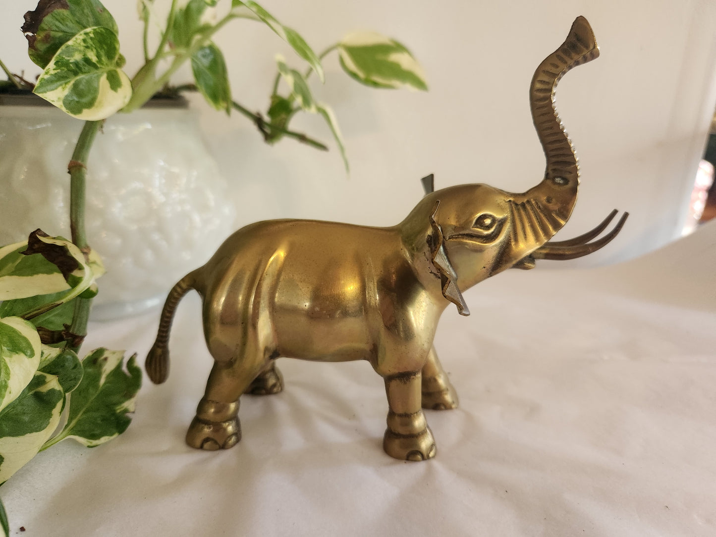 Medium Brass Elephant