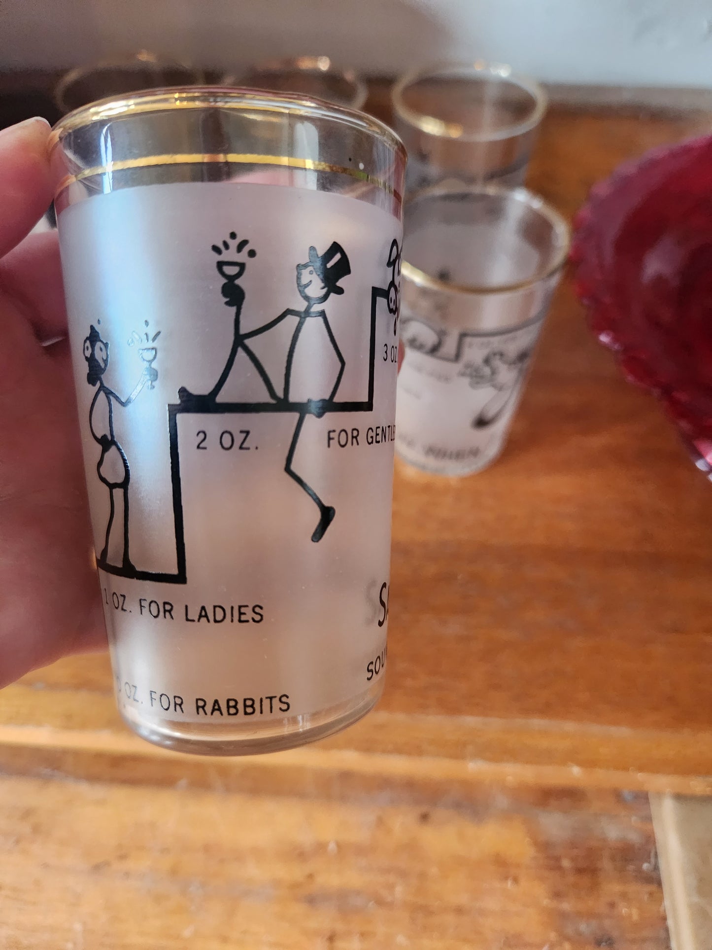 Novelty Souvenir of Canada Drink Glasses