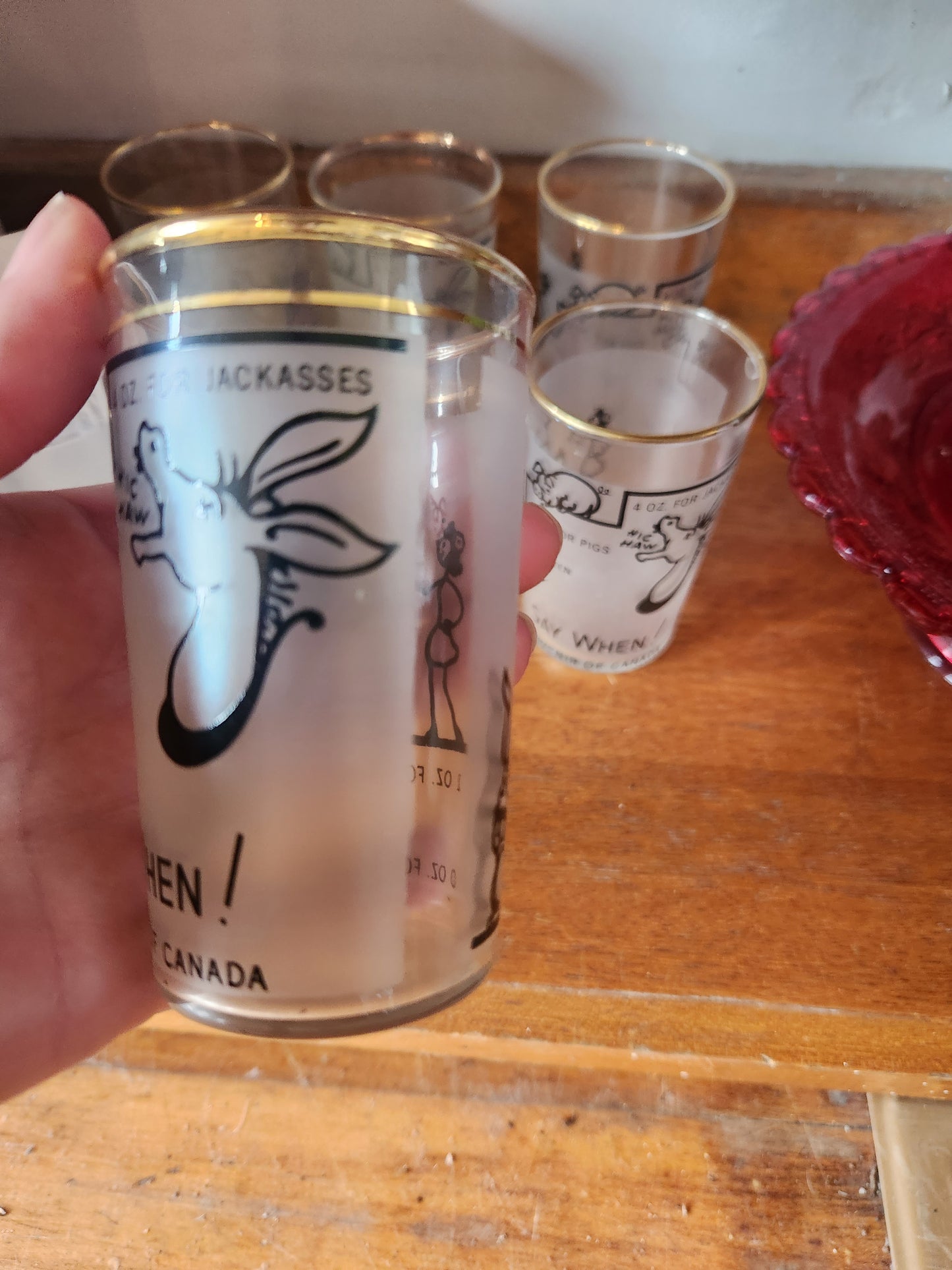 Novelty Souvenir of Canada Drink Glasses