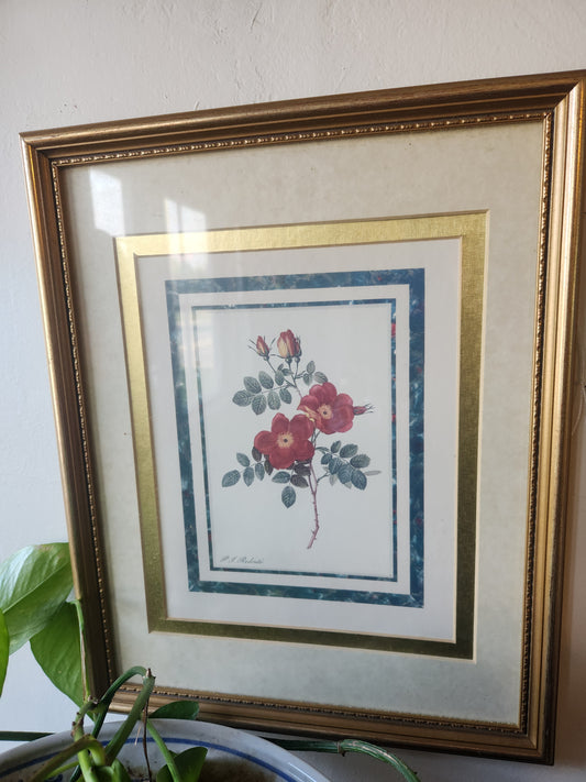 Wild Rose Vintage Print