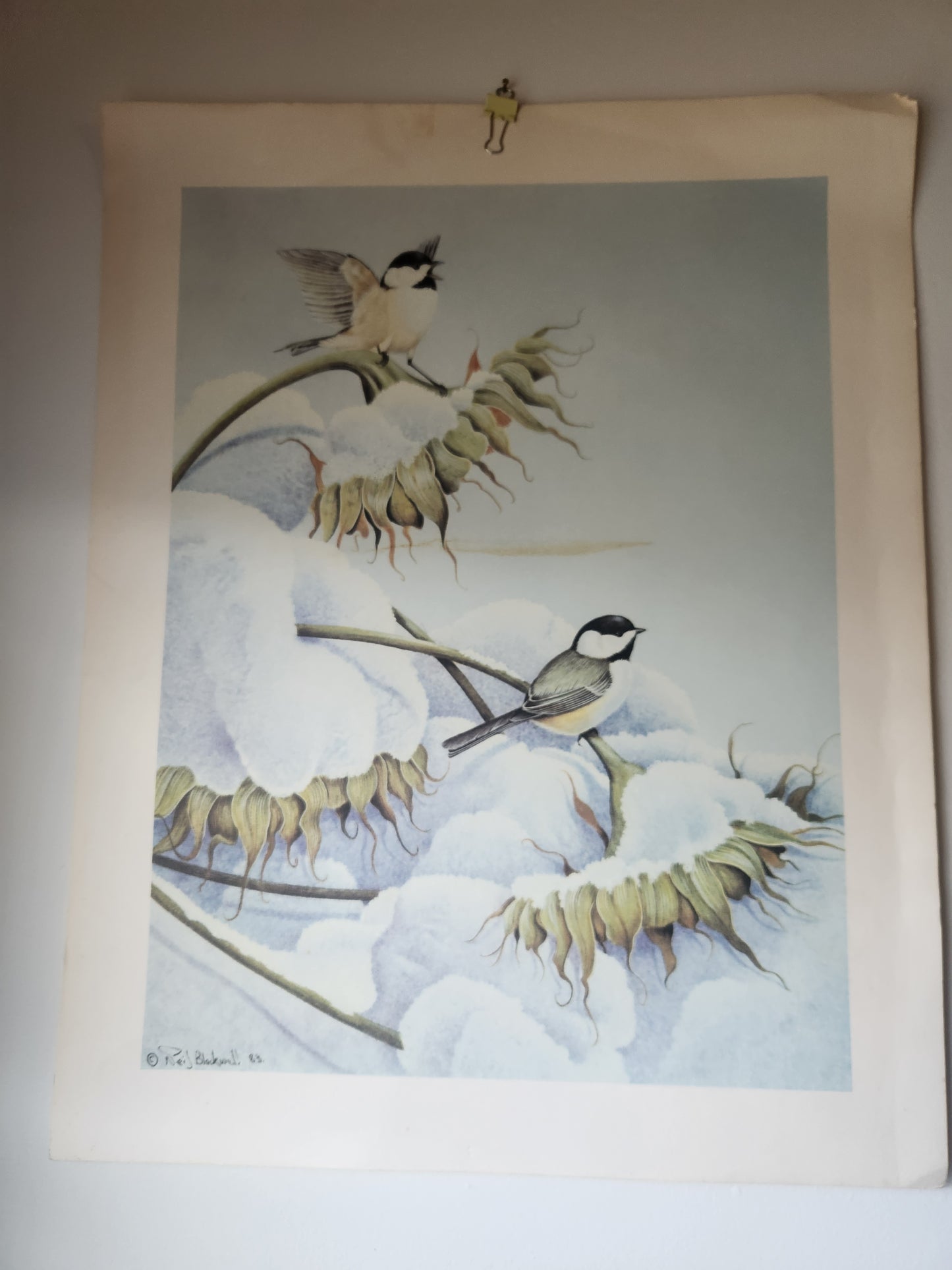 Sunflower Chickadee Art Print