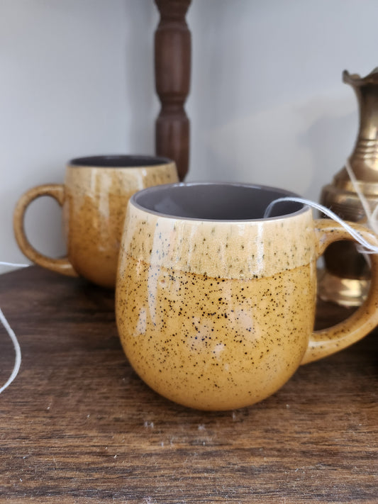 Gibson Homes Speckled Pottery Mugs