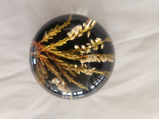 Decorative Dried Botanical Paperweight