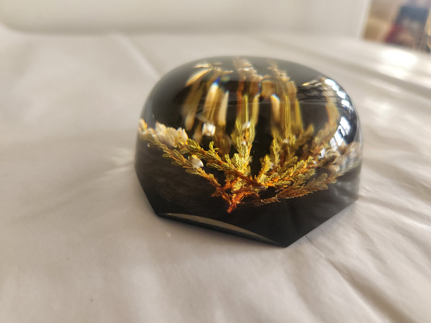 Decorative Dried Botanical Paperweight