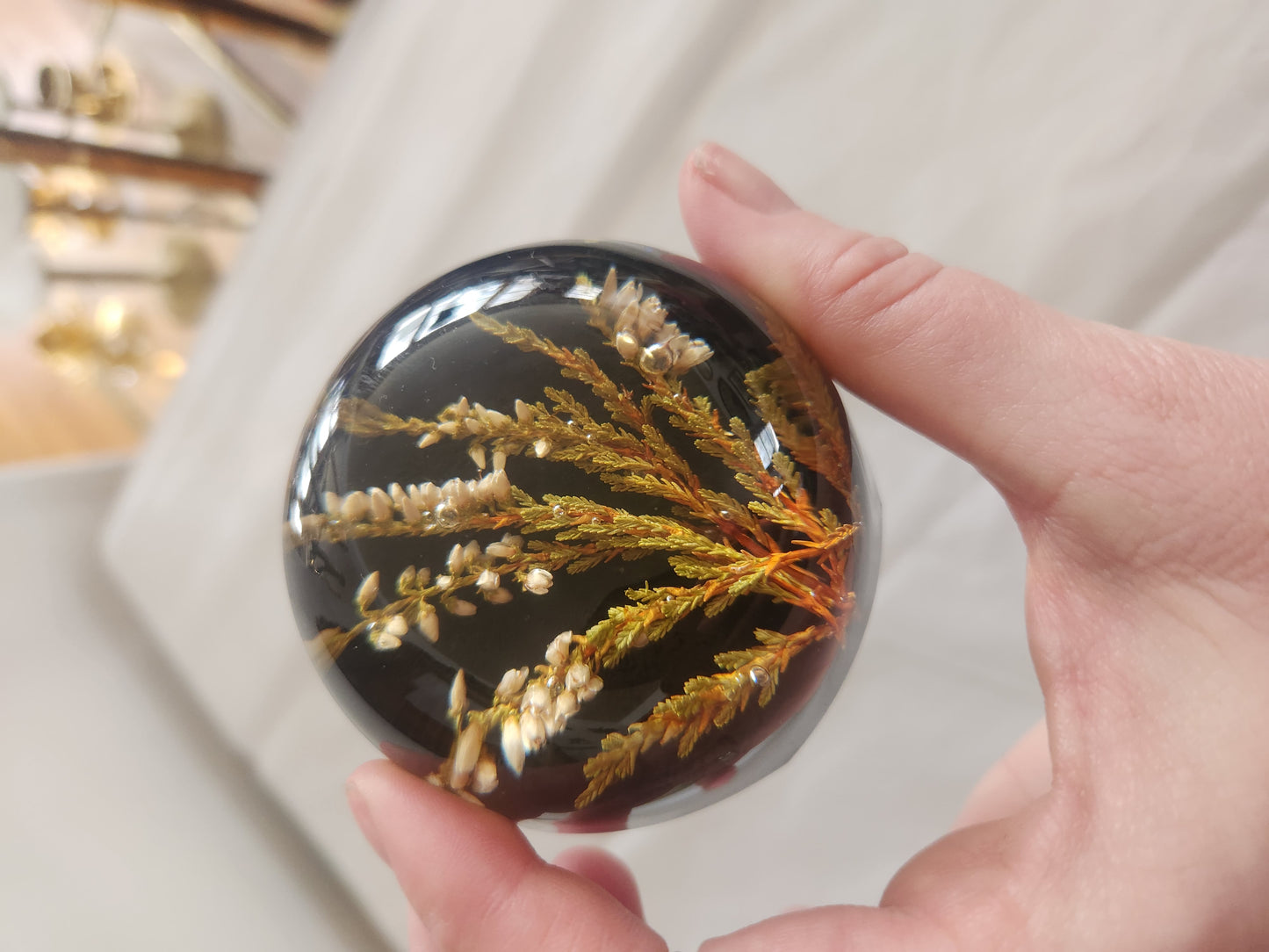 Decorative Dried Botanical Paperweight