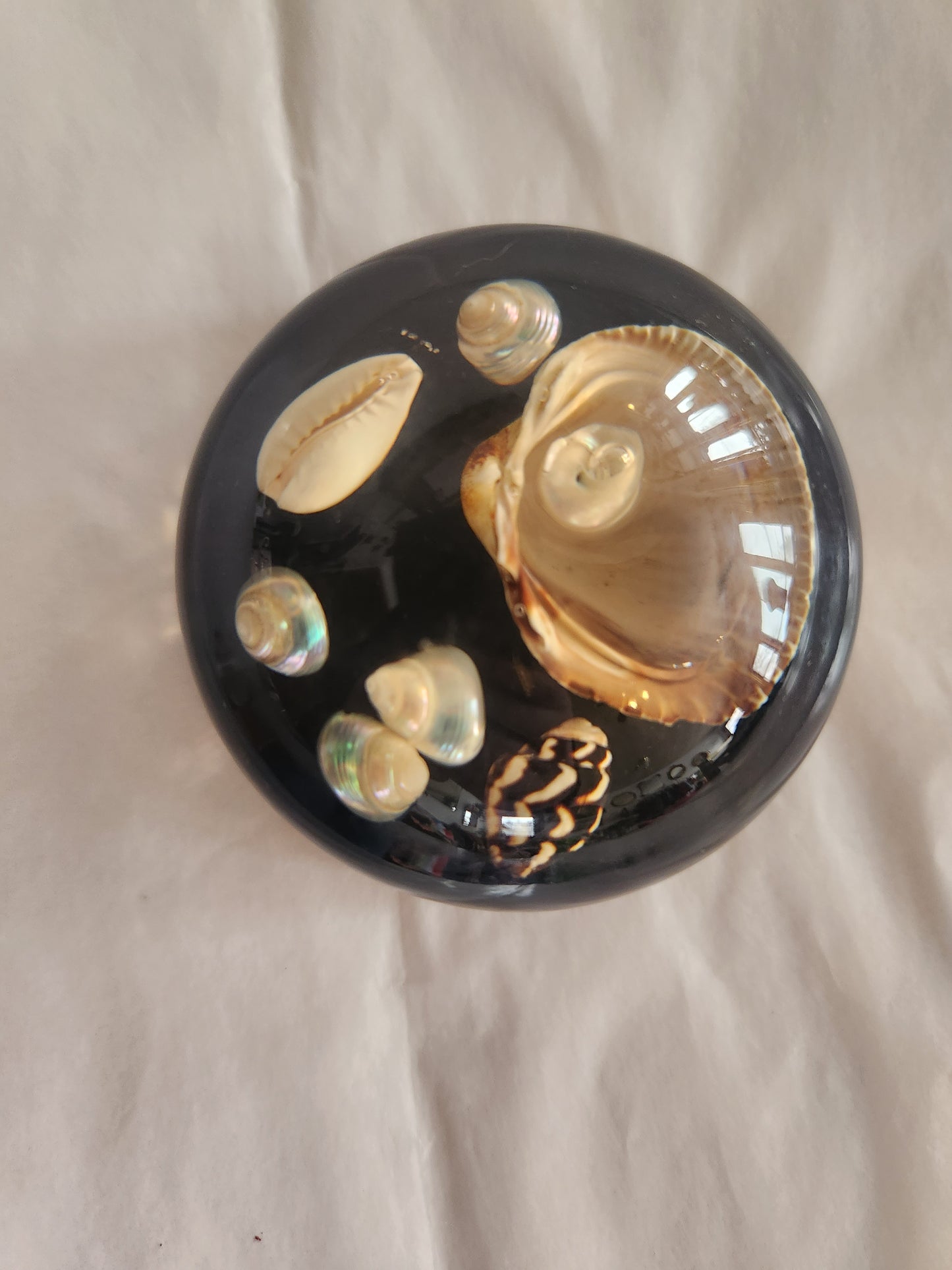 Shell filled Lucite Paperweight