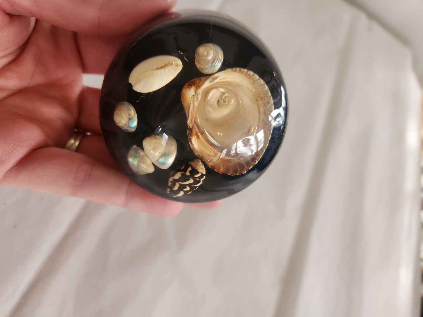 Shell filled Lucite Paperweight