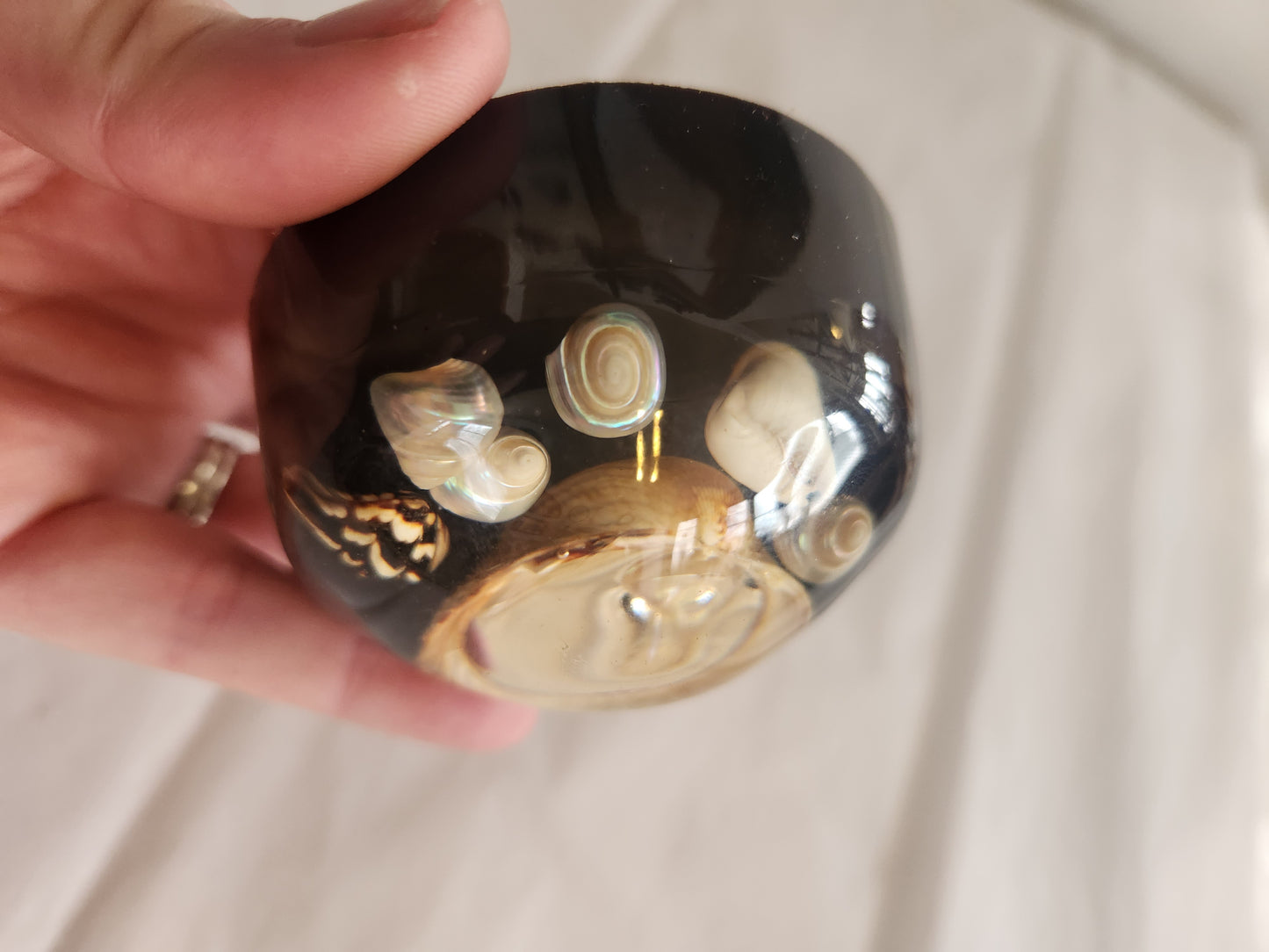 Shell filled Lucite Paperweight