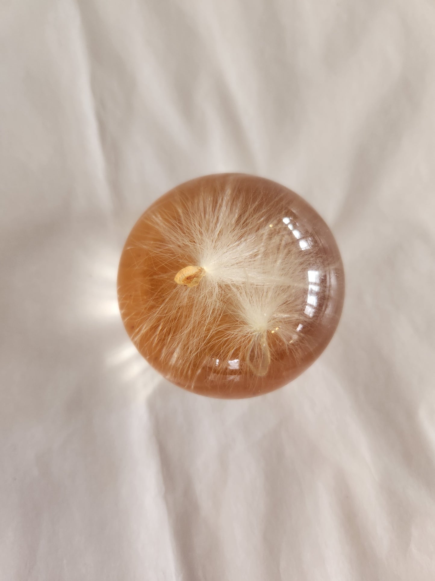 Dandelion fluff Decorative Paperweight