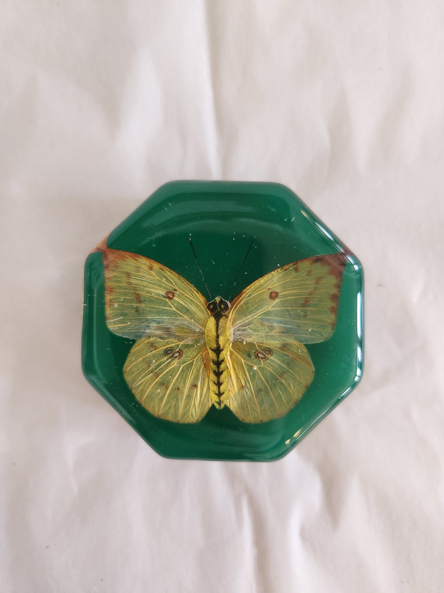 Vintage Lucite Butterfly Paperweight