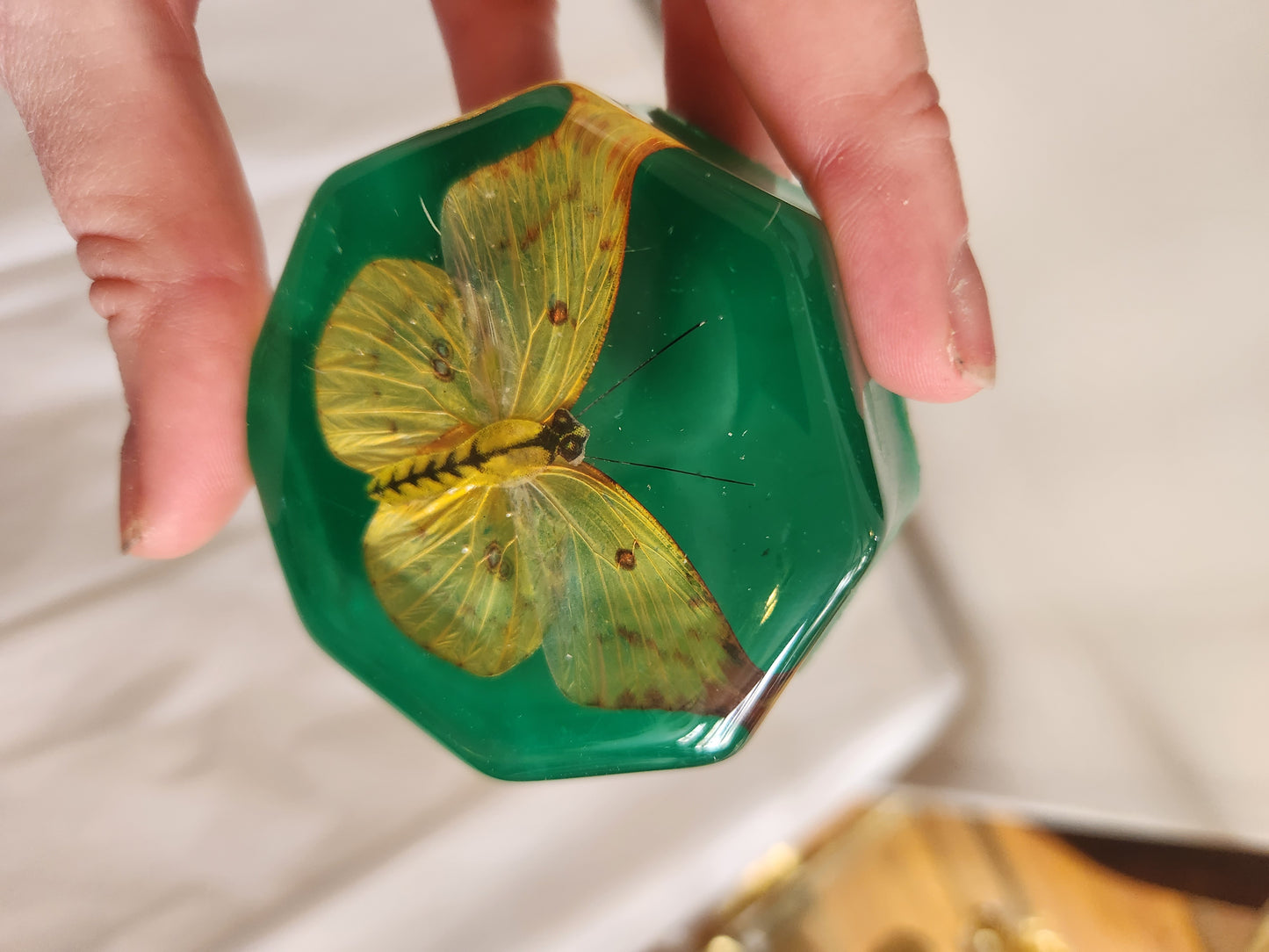 Vintage Lucite Butterfly Paperweight