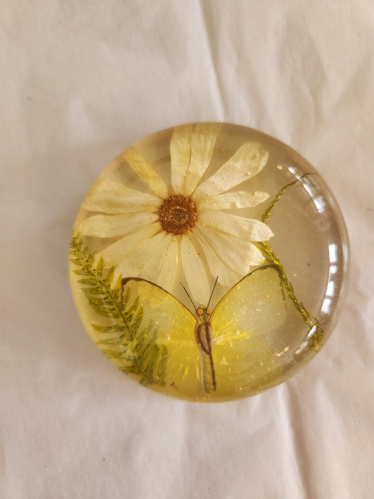 Daisy & Butterfly Lucite Decor