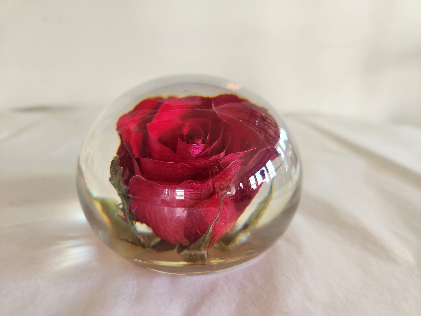 Rose in Epoxy (?) Paperweight