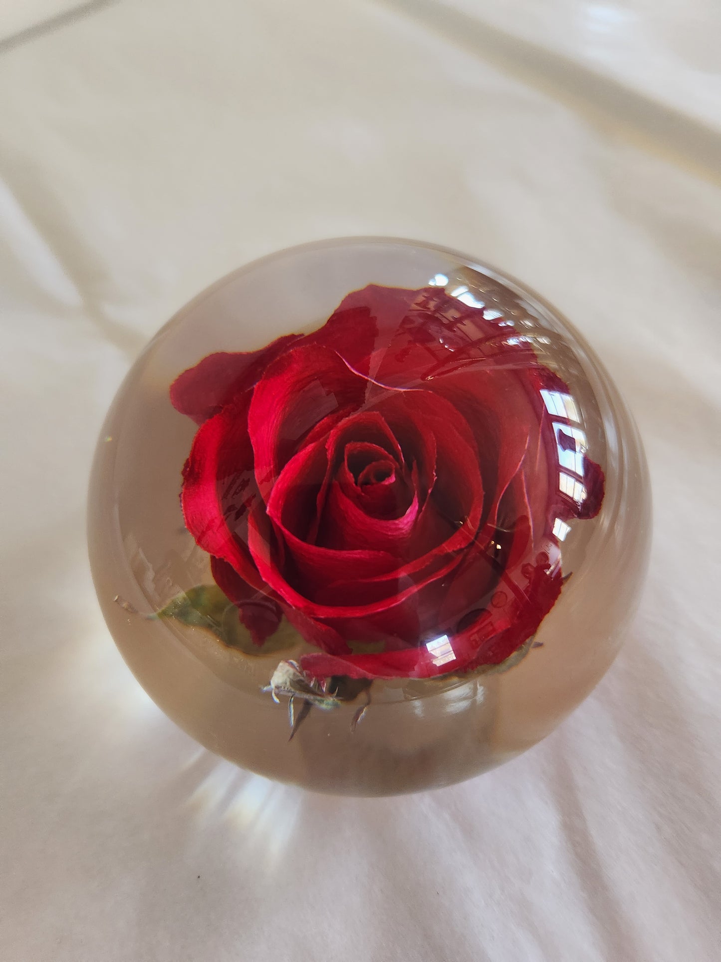 Rose in Epoxy (?) Paperweight