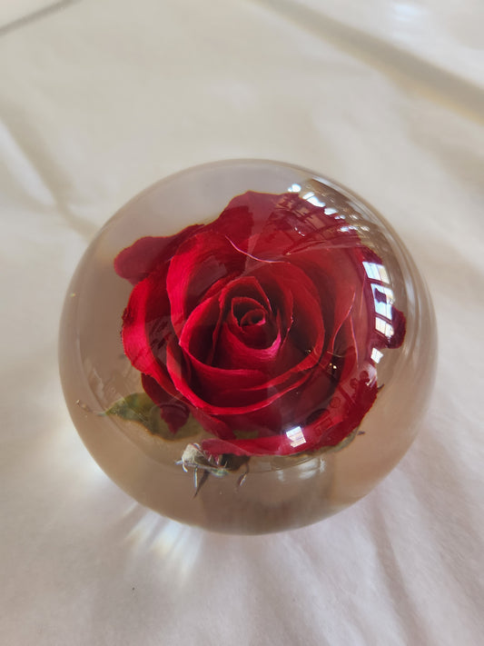 Rose in Epoxy (?) Paperweight