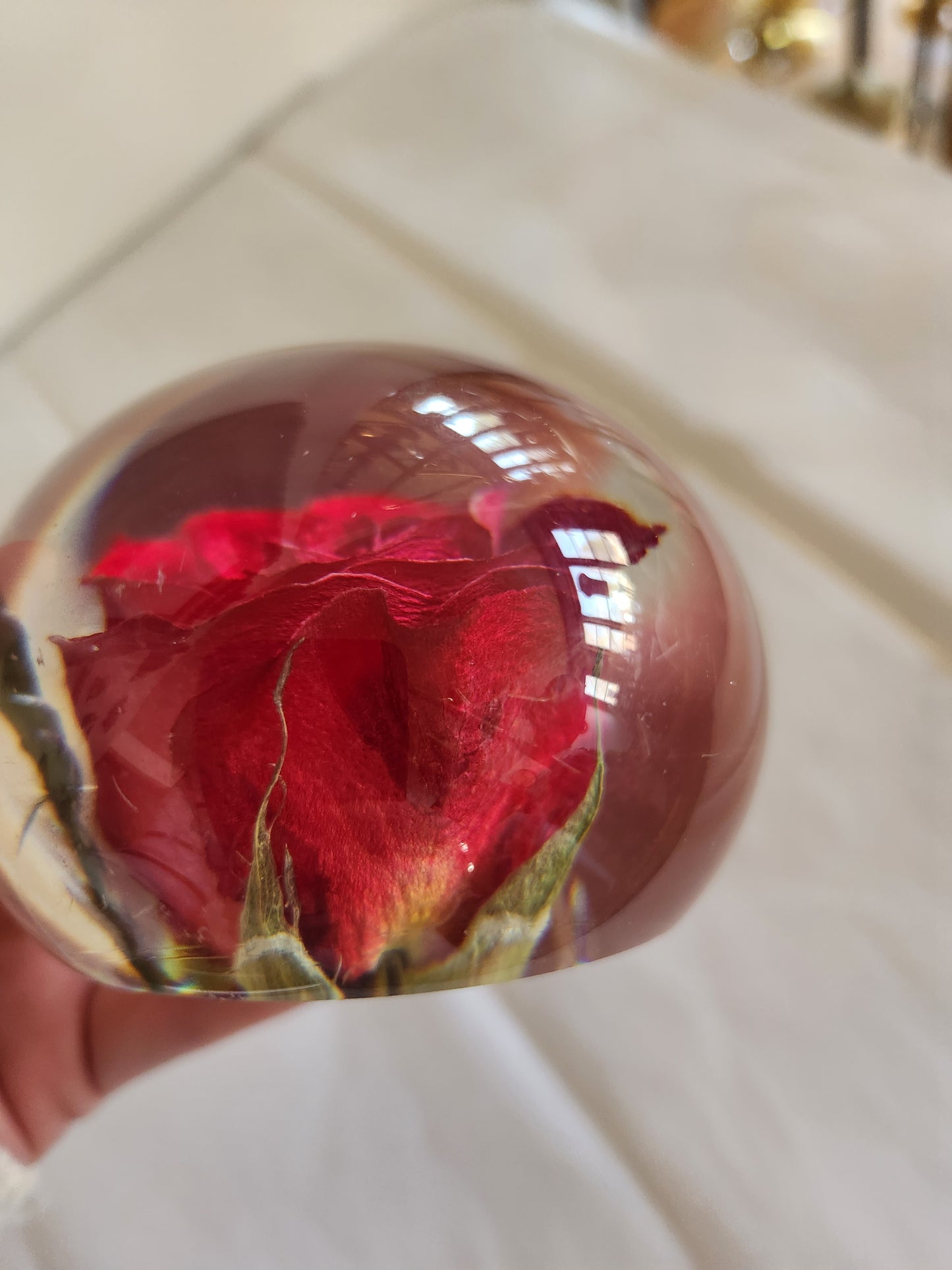 Rose in Epoxy (?) Paperweight