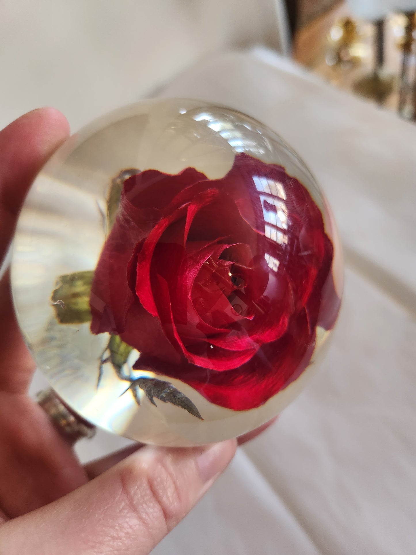 Rose in Epoxy (?) Paperweight