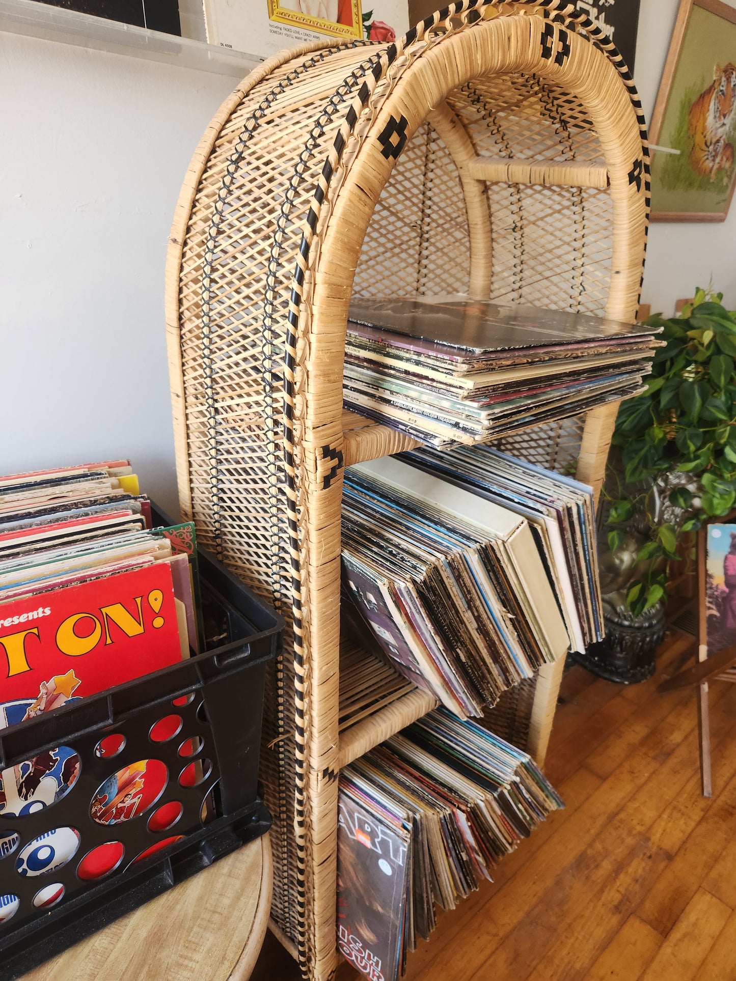 Mini Arched Wicker Shelf