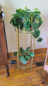 Painted "Brass" and Glass Plant Stand