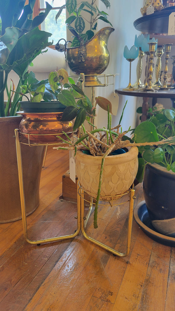 Mini Brass Plant Stand