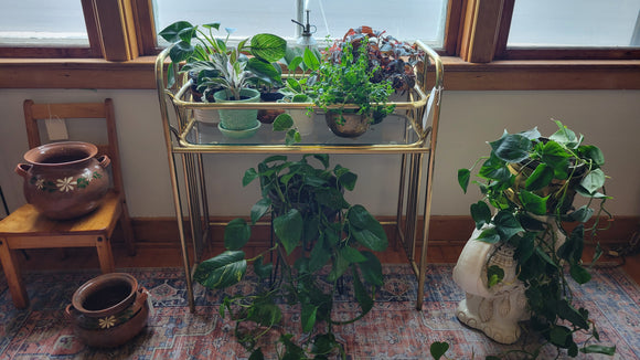 Brass Vanity turned Plant Stand