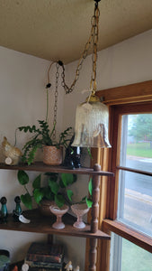 Mini Bell Shaped Swag Lamp