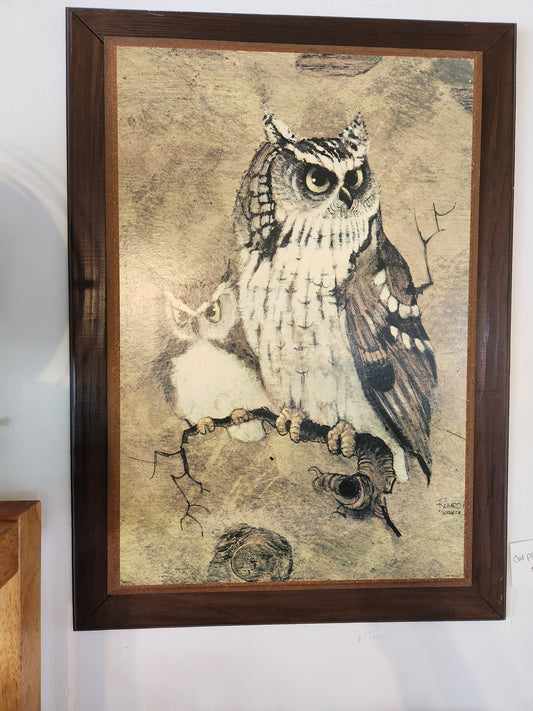 Owl Artwork