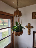 Hanging Plant Swag Lamp