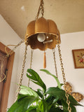Hanging Plant Swag Lamp